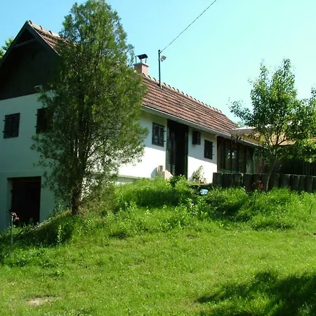 Banya Tanya